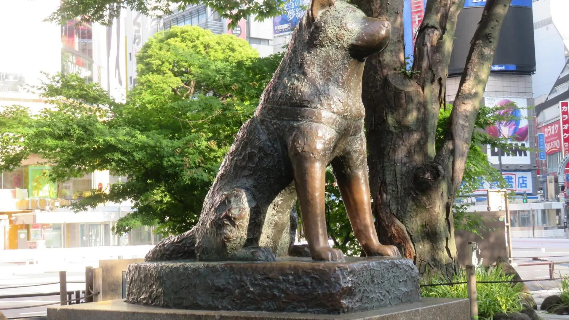Apa Hotel Shibuya Dogenzakaue Tokyo